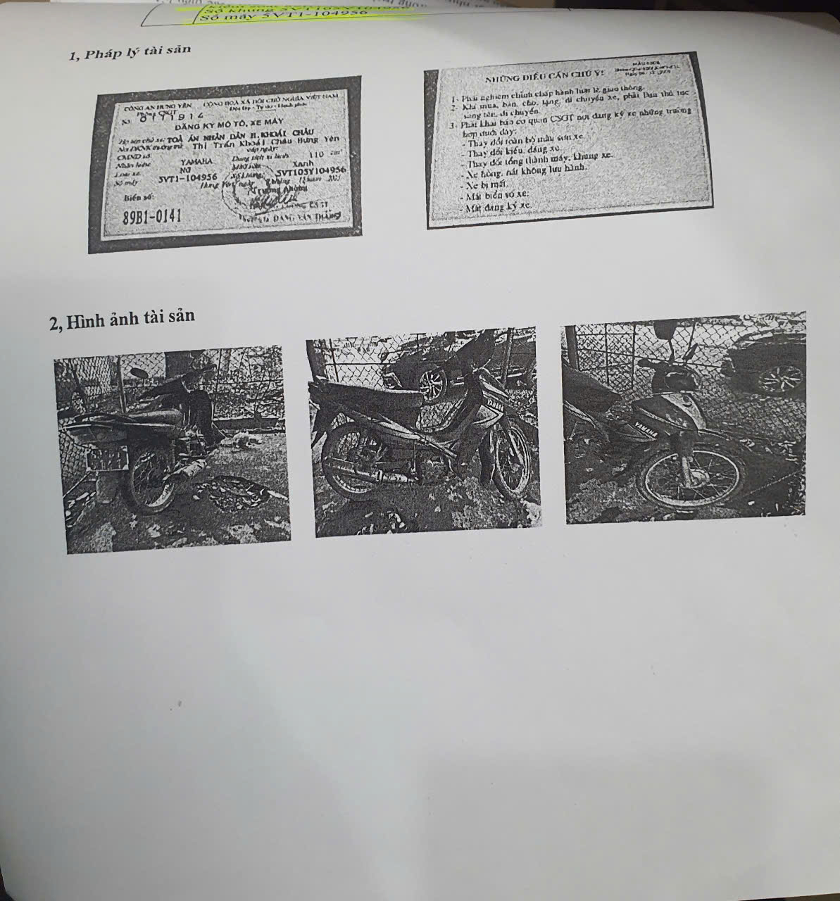 Alternate Text